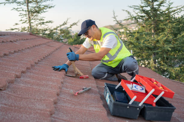 Best Roof Ventilation Installation  in Madrid, IA